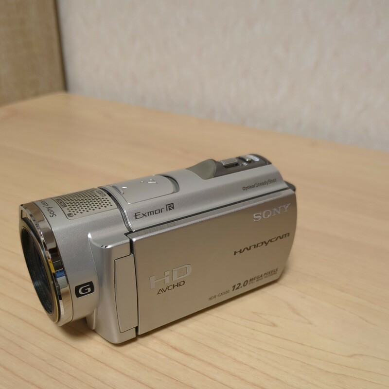 SONY ソニー HANDYCAM HDR-CX500 シルバー ビデオカメラ デジタルビデオカメラ ジャンク