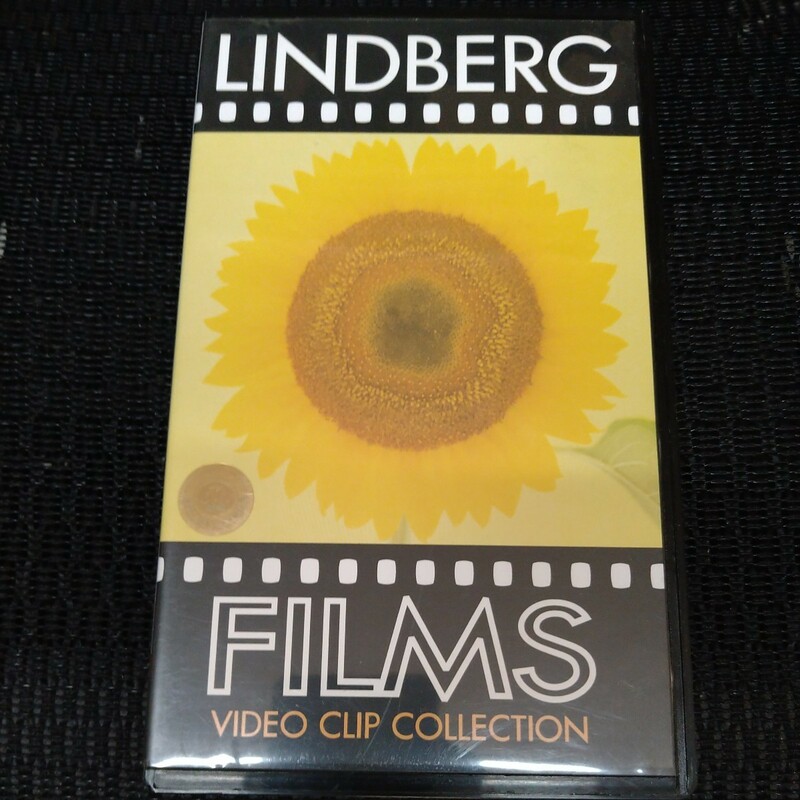 【ほぼ新品】リンドバーグ LINDBERG VHS FILMS VIDEO CLIP collection