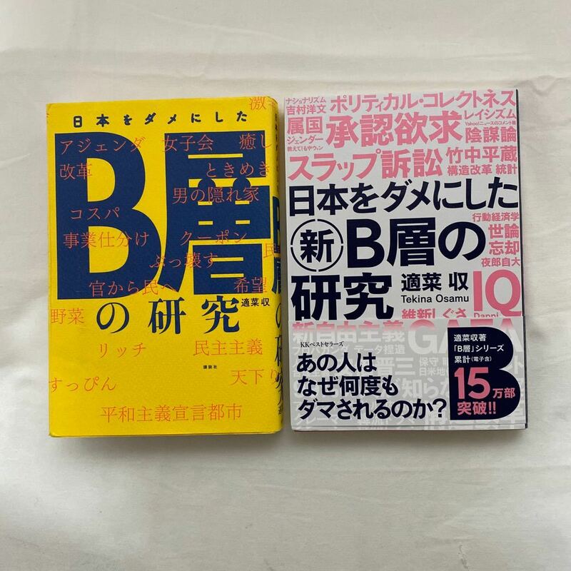 日本をダメにしたＢ層の研究・日本をダメにした新Ｂ層の研究 計2冊　古本　適菜収