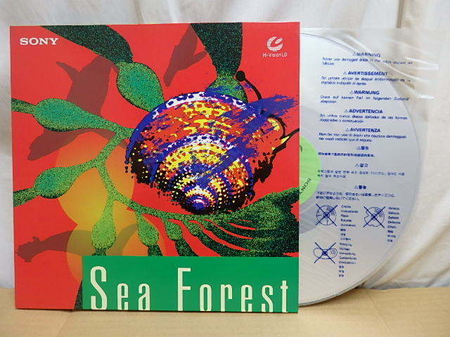 !△激レア!! ハイビジョンLD 【Sea Forest ケルプの海】カリフォルニア沖の巨大なケルプの森 レーザーディスク Hi-Vision LD ディスク美品