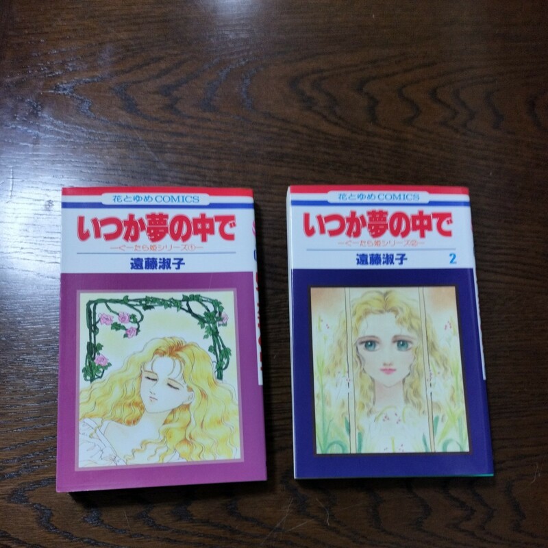 いつか夢の中で　遠藤淑子　全２巻セット　全巻初版本