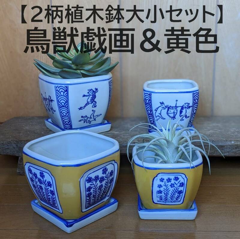 【鳥獣戯画&黄色セット】2種類　2柄　植木鉢　大小　皿付　多肉植物　縁起物　サボテン　苔　観葉植物　鉢カバー　