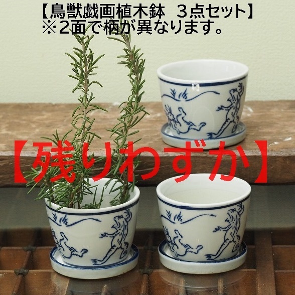 そば猪口型植木鉢　鳥獣戯画　兎　蛙　猿　3個　多肉植物　ミニ盆栽