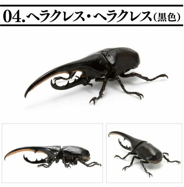 【内袋未開封新品】バンダイ いきもの大図鑑 ミニコレクション 昆虫01 ヘラクレス・ヘラクレス(黒色)