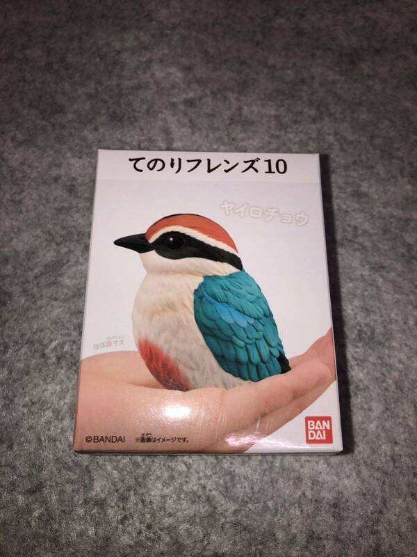 ヤイロチョウ てのりフレンズ10 新品未開封品 バンダイ 食玩