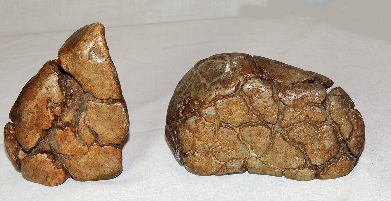 天然奇石　珍品　2個　不思議な石