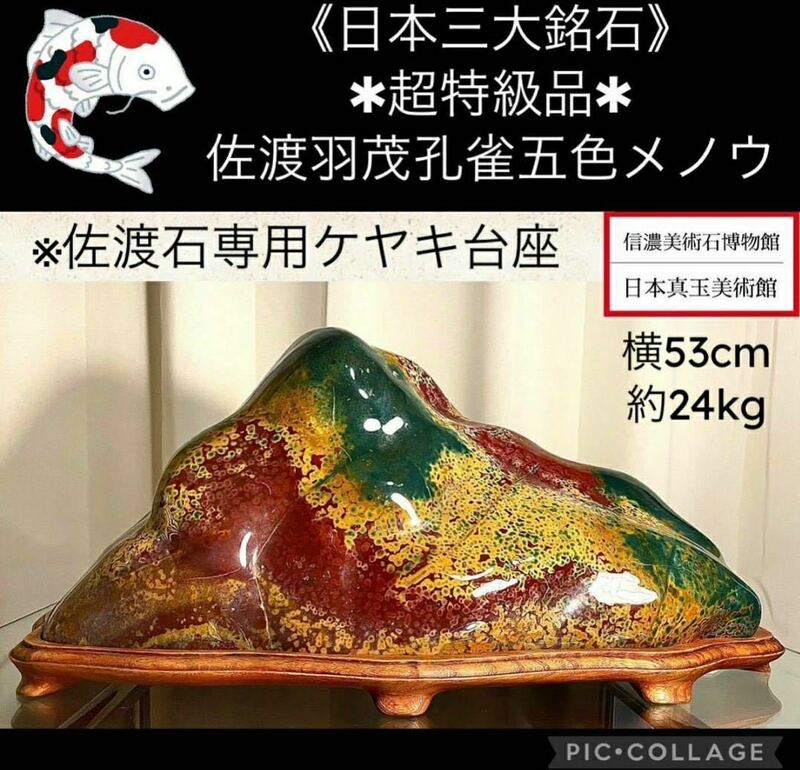 【信濃美術石博物館】 水石 盆栽 《超特級品》佐渡羽茂孔雀五色メノウ 横53×高23(cm) 24.3kg 佐渡赤玉石 赤石 骨董盆石鑑賞石観賞石4468