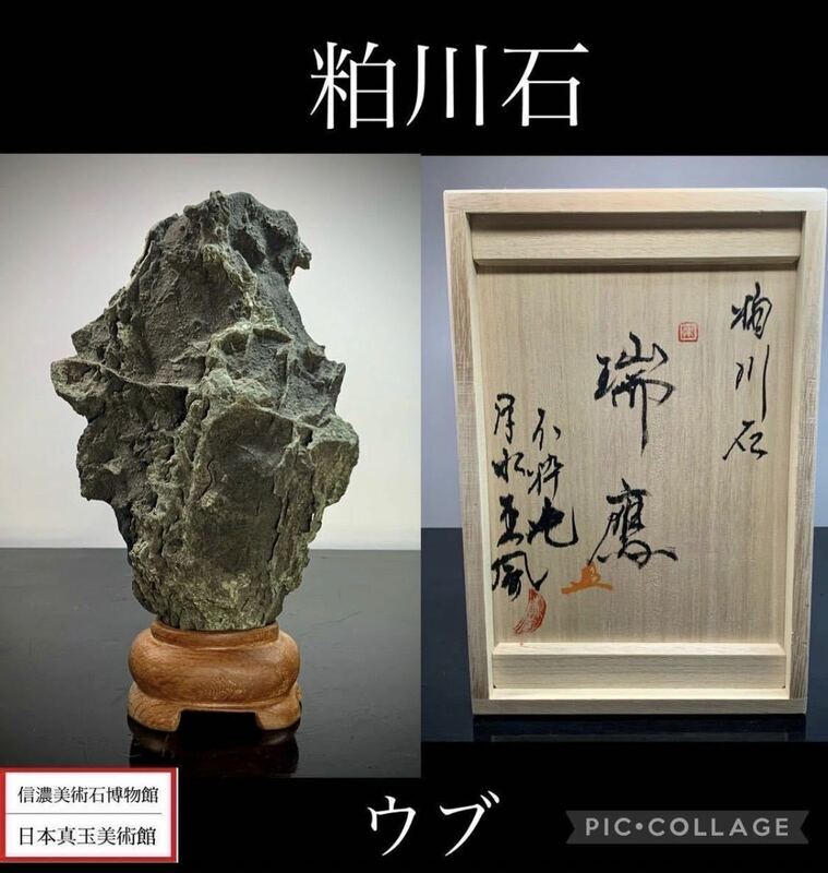 【信濃美術石博物館】 水石 盆栽 粕川石 ウブ 銘『瑞鷹』桐箱付 横13×高21(cm) 1kg骨董盆石鑑賞石観賞石太湖石2532