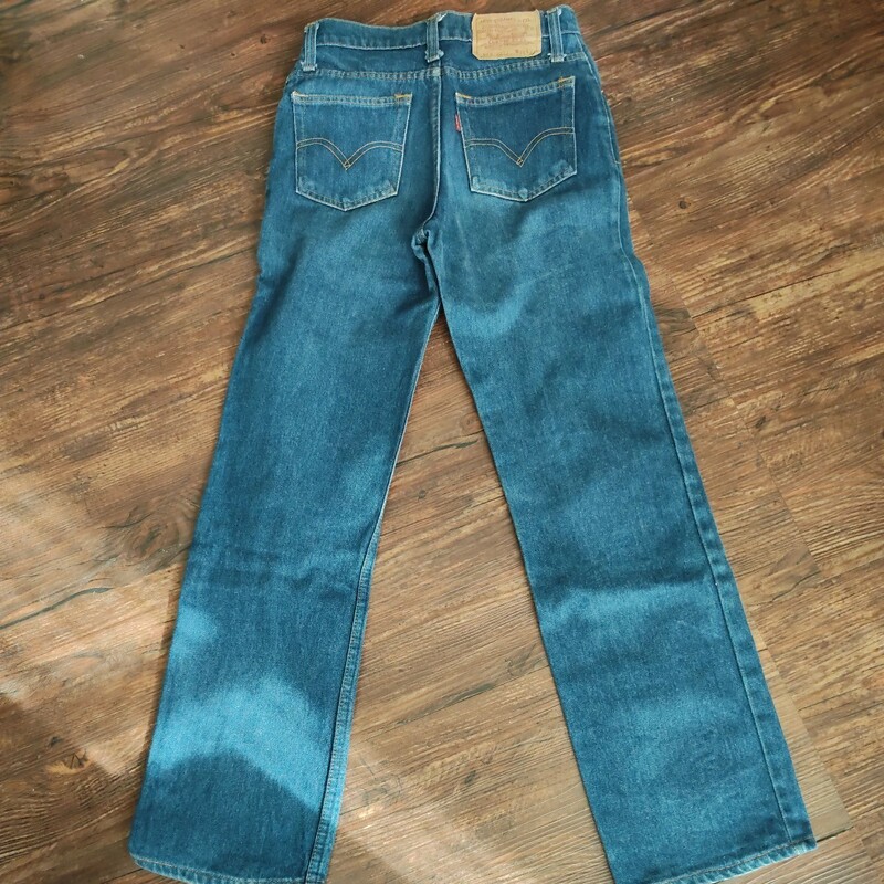 Levi's 505-0217 w28 リーバイス　デニム　ジーンズ