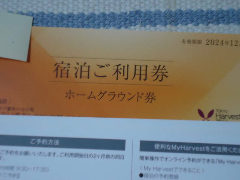 東急ハーベストクラブ　ホーム券　　２枚
