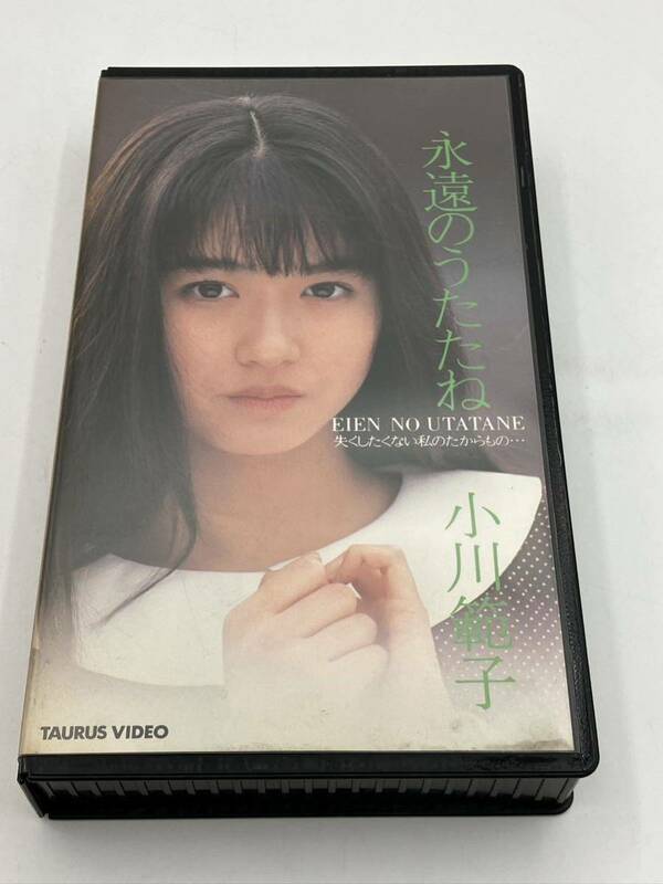 永遠のうたたね 小川範子 ビデオ　VHS