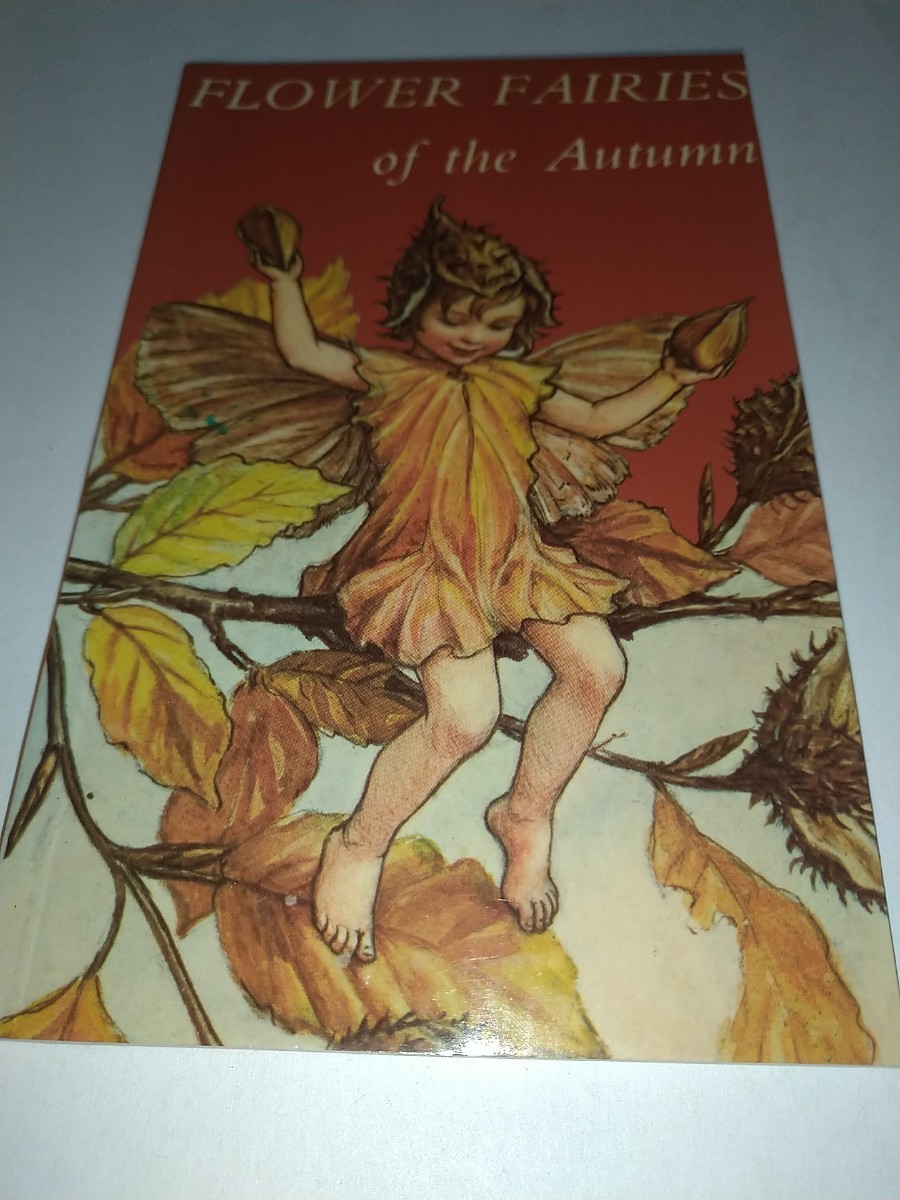 【中古洋書】シシリー・メアリー・バーカー Flower Fairies of The Autumn 24カット10.5cm16.8cm 森永ハイクラウン 妖精