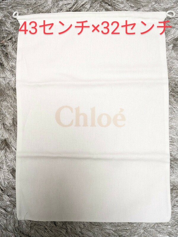 【新品未使用】CHLOE　保存袋