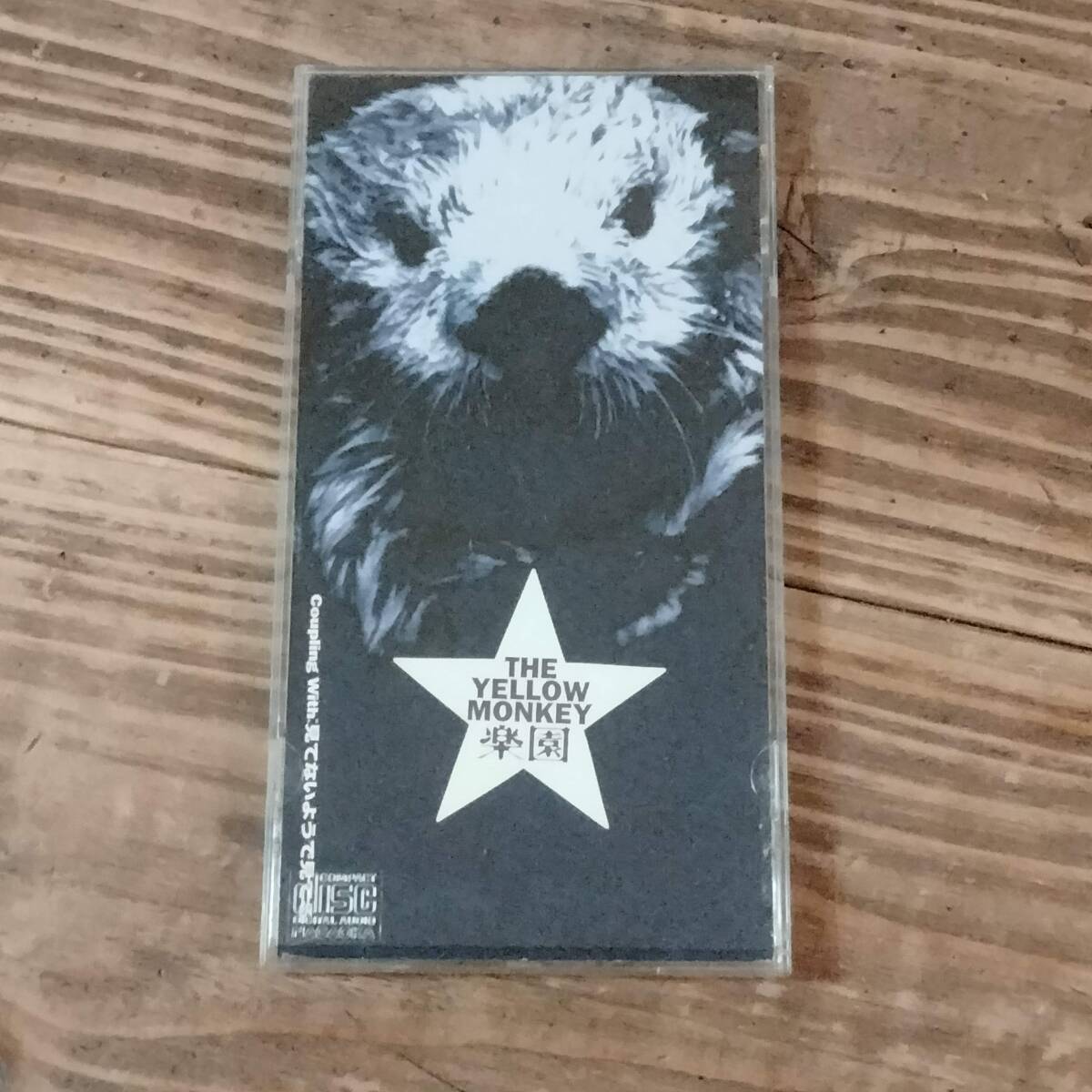 THE YELLOW MONKEY 8cmCDシングル　楽園