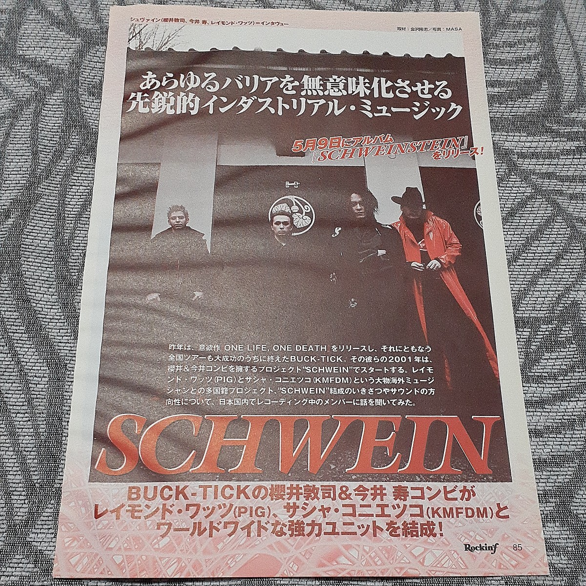 ロッキンf☆記事☆切り抜き☆櫻井敦司＆今井寿＆レイモンド(SCHWEIN)=インタビュー『SCHWEINSTEIN』▽3Ca：ccc29