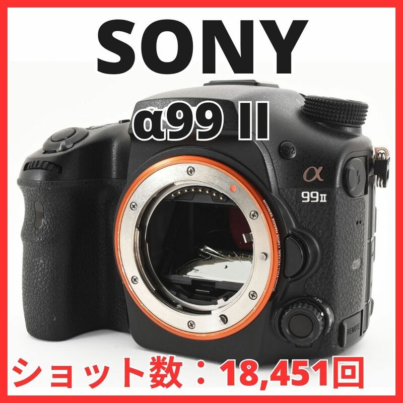 B19/5548-138 / ソニー SONY α99II ボディ ILCA-99M2 【ショット数 18,451回】A99II