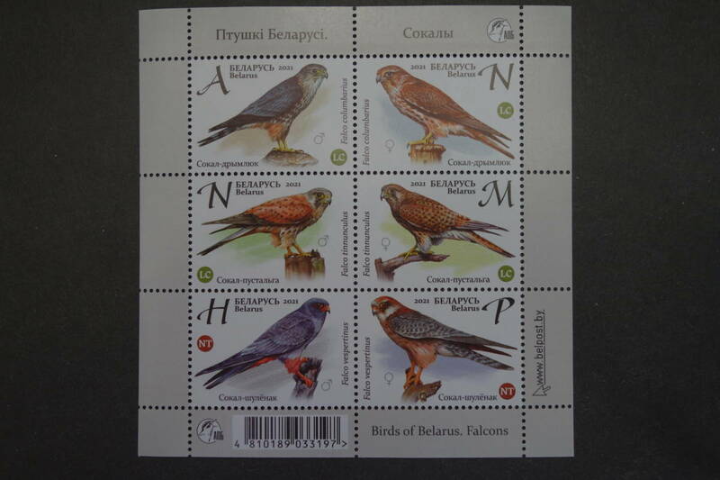 外国切手：ベラルーシ切手 「猛禽類」6種ｍ/ｓ 未使用