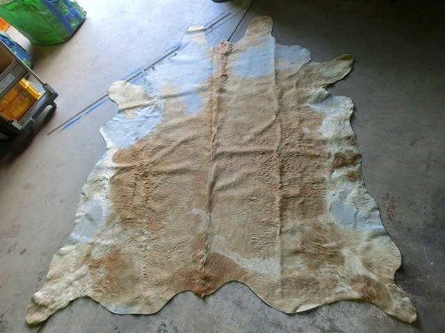 けA7S カウラグ 大判 牛皮 ハラコ 敷物 カーペット 約250cm×220cm 絨毯 毛皮