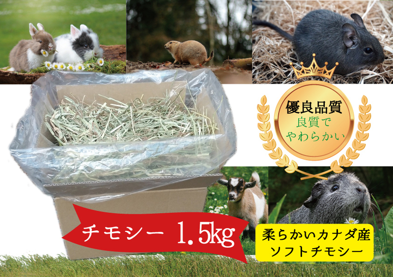 ①【最安値に挑戦】新鮮カナダ産ソフトチモシー　1.5ｋｇ　牧草、乾草、ウサギ、ウマ、デグー、モルモットなどに