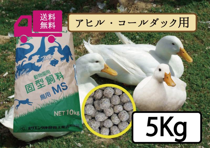 【期間限定SALE大特価】送料無料 【アヒル・コールダック用飼料・ペレット】5kg 　オリエンタル酵母工業MS