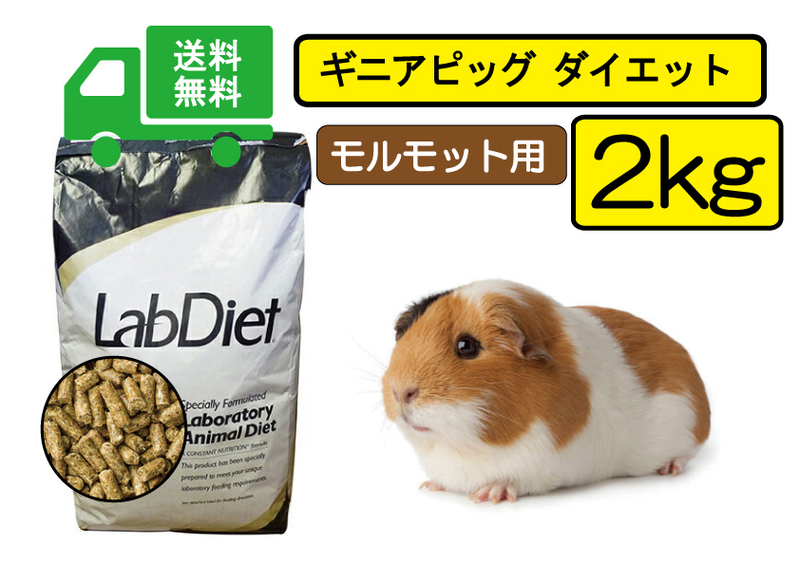 【期間限定SALE大特価】★送料無料2ｋｇ【ラブダイエット5025】モルモット用フード ギニアピッグダイエット lab diet