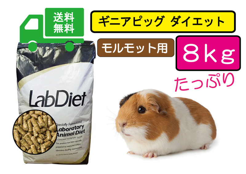 【期間限定SALE大特価】※送料無料8ｋｇ【ラブダイエット5025】モルモット用フード ギニアピッグダイエット lab diet