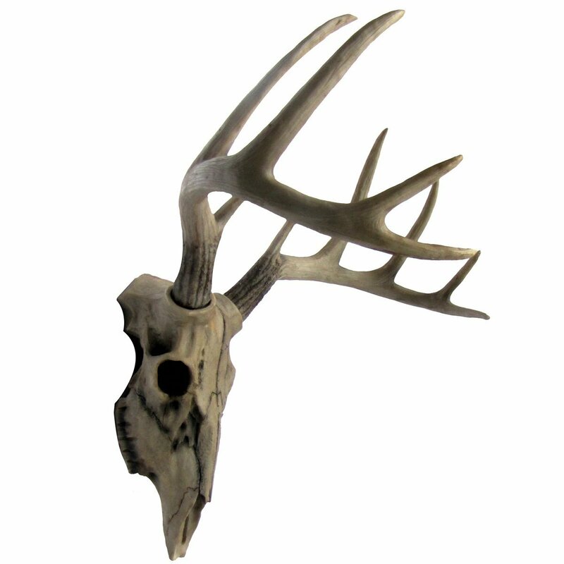 雄鹿(トナカイ・アンテロ－ブ) ハンティングトロフィー 壁掛けインテリア雑貨彫刻彫像頭蓋骨頭骨枝角スカル剥製鹿置物シカオブジェはく製