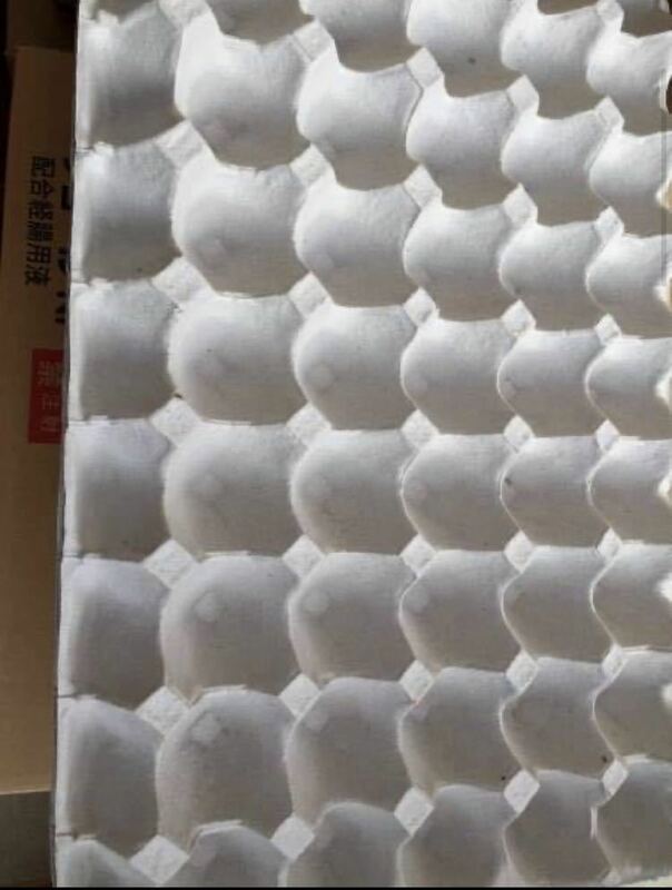 卵パック　卵トレー　卵パック 50枚セット　コオロギ　ミルワーム　梱包材　防音★追加可能！