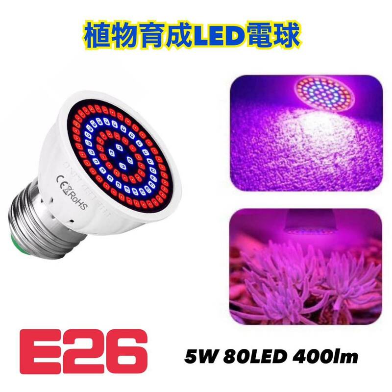 植物育成 LED電球 赤 青 LED E26口金 5W 80LED 【送料無料】観葉植物 多肉植物 成長促進 室内栽培 水槽 アクアリウム 熱帯魚 海水魚