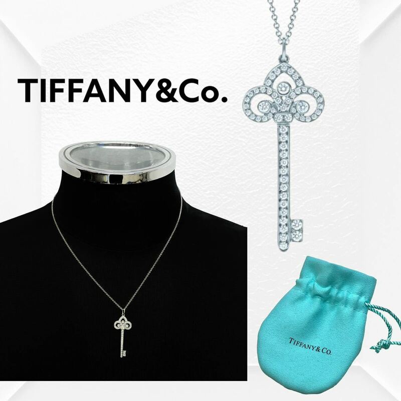 保存袋付き 定価1,200,100円 Tiffany&Co. ティファニー フルール ド リス キー ペンダント プラチナチェーン ネックレス AU750 18K