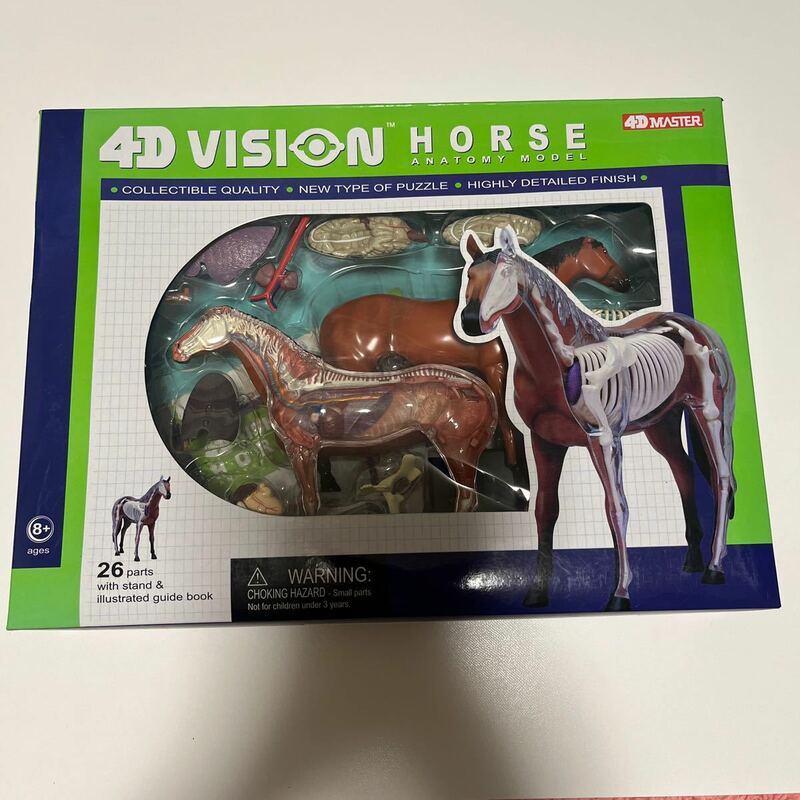 立体パズル 4D VISION ビジョン　動物解剖 ウマ 馬　