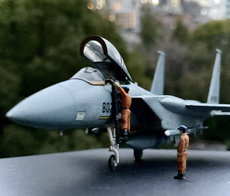 1/144 Japanese Self Defence Force F-15J Eagle FG/ 航空自衛隊F-15J 完成品