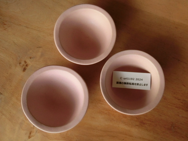 ◆益子焼 よしざわ窯 新品 春季限定製作 ピンク デリボウル ミニ 3客 小鉢◆