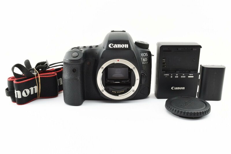 Canon デジタル一眼レフカメラ EOS 6D Mark II ボディ 訳あり