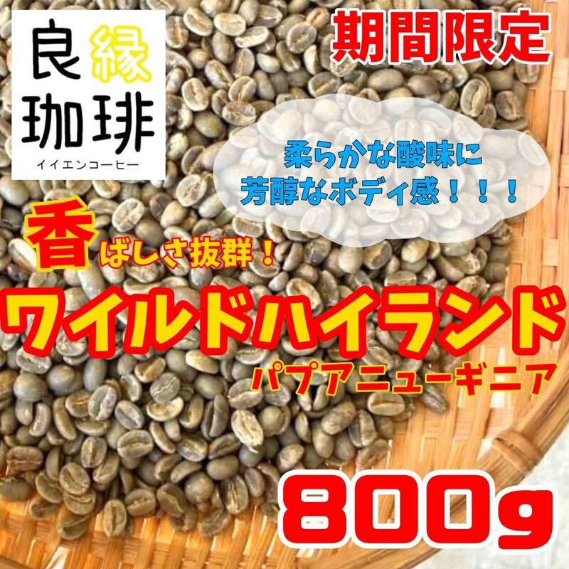 生豆 800g パプアニューギニア ワイルドハイランド スペシャリティ コーヒー coffee スペシャル beans