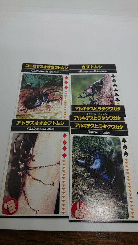 ★★★ 昆虫 カード まとめて ゆうパケットポスト送料２３０円 ★★★