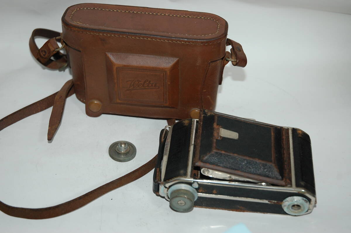 ウエルタ　セミ　　　　　　　　　　　　　　　青98