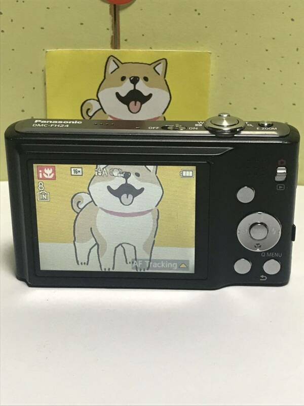 Panasonic パナソニック LUMIX DMC-FH24コンパクトデジタルカメラ 8x 16 Megapixels 動作確認済み