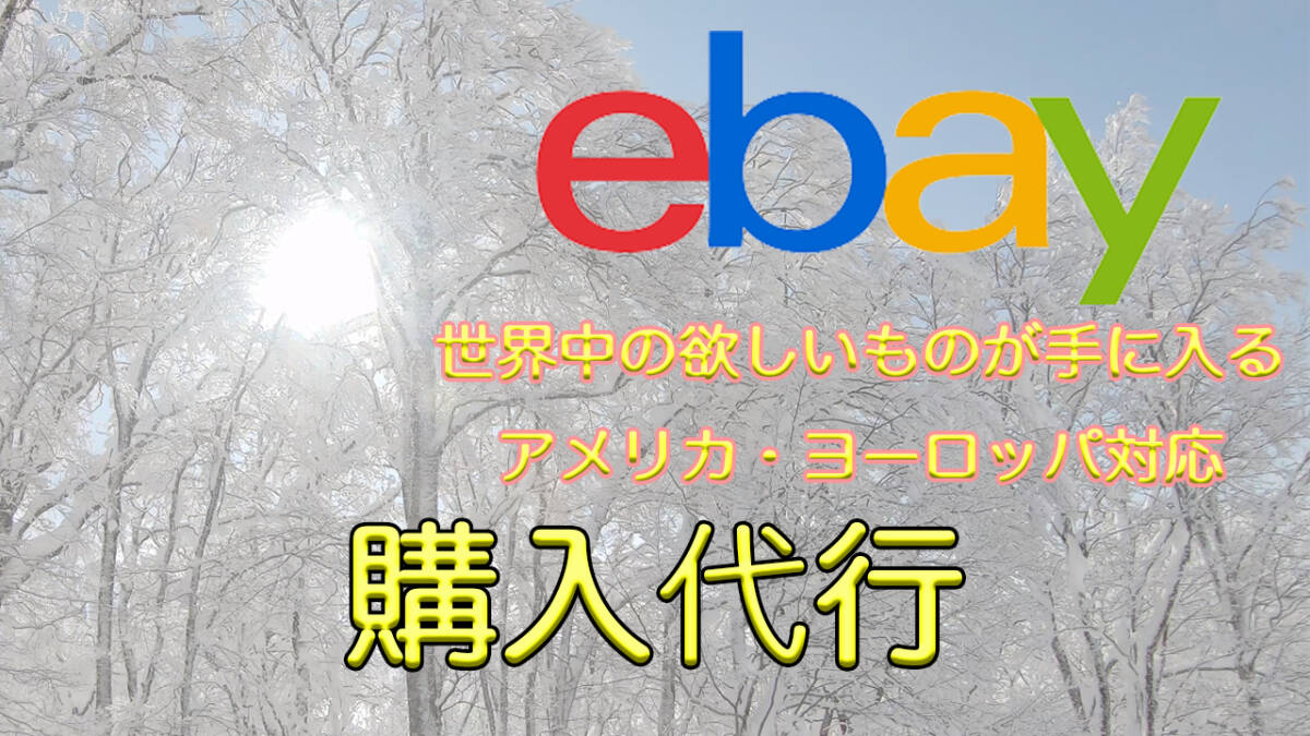 eBayの輸入購入代行！実績多数　ステータスの確認など　この値段は相談料です　ご自宅に配送　レアものや自動車部品フィギアバイク部品