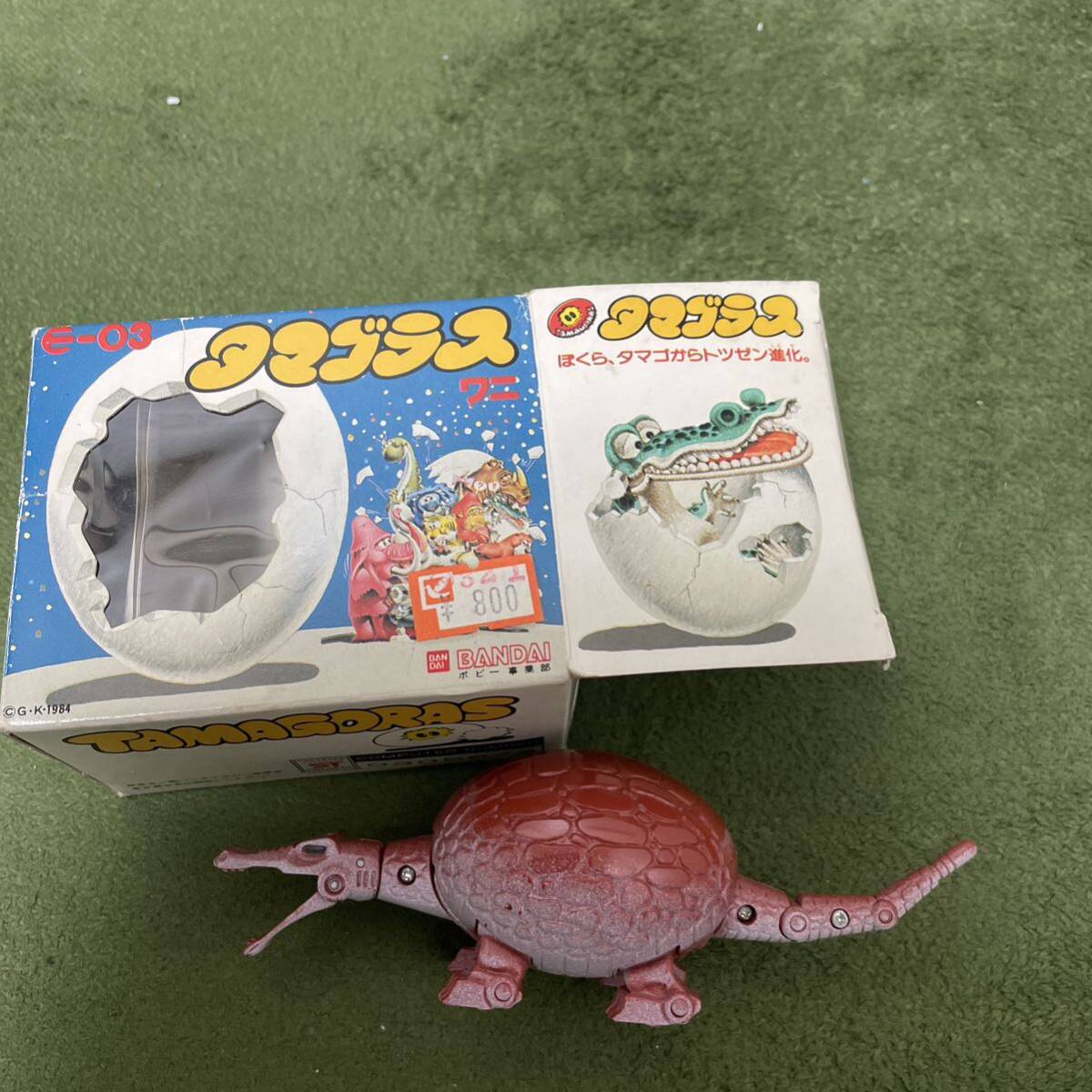 BANDAI バンダイ　タマゴラス　ちゃ卵ぽ卵　ワニ