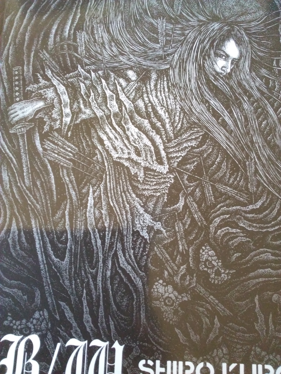 SUGI SHIRO KURO SUGI S DRAWING 2004 2006
