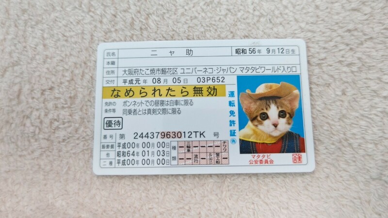 なめ猫 免許証 カード　ニャ助 なめんなよ なめねこ カードコレクション　未使用