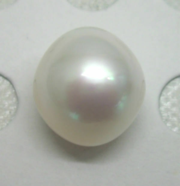 ∮真珠専門館∮ 白蝶真珠 ルース 12.7mm×13..5mm 無穴 ドロップ (税込み価格)