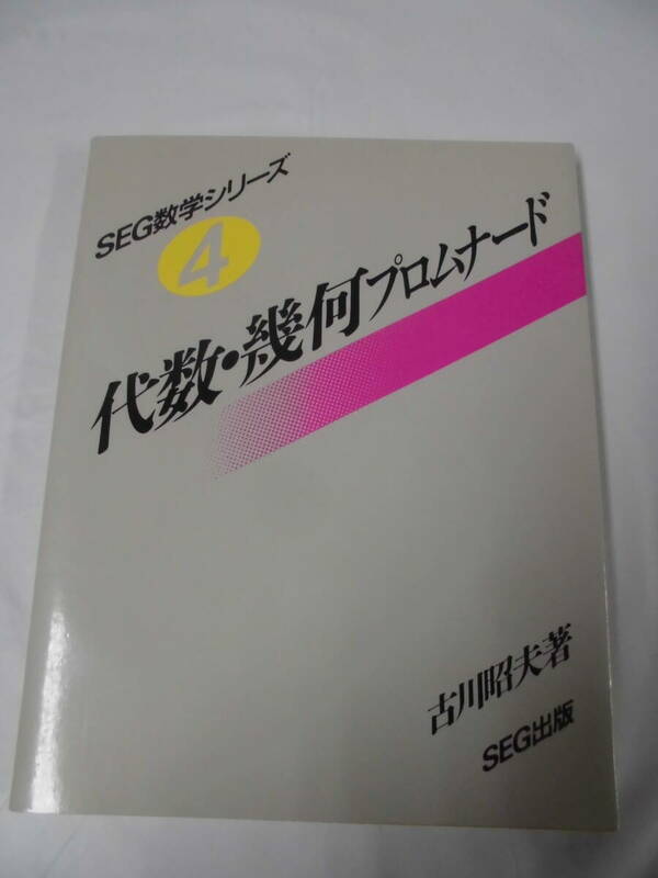 SEG数学シリーズ4　代数・幾何プロムナード　古川昭夫:著　1992年初版第1刷◆ゆうパケット　3*2