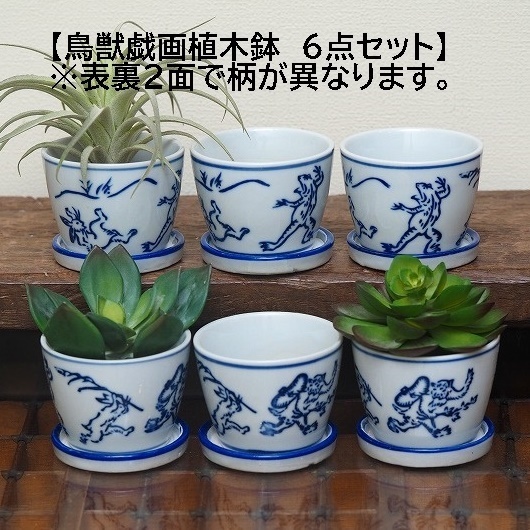 そば猪口型植木鉢　鳥獣戯画　兎　蛙　猿　6個　 多肉植物　サボテン 苔　観葉植物　ミニ盆栽　縁起物　和風