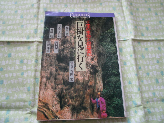 D3　講談社カルチャ―ブックスー９１　『千年の生命との出会い　巨樹を見に行く』　梅原猛ほか５名／著　講談社発行