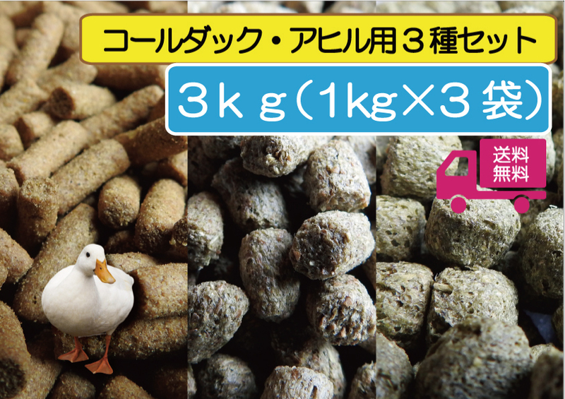 ★【アヒル・コールダック用（ヒナにも） 完全飼育飼料3種セット-1ｋｇ×3袋】 BC-6 MS EP オリエンタル酵母工業 餌 あひる