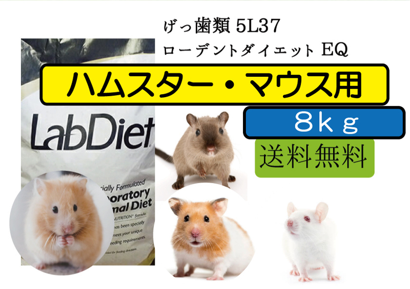 【※大特価セール中】8ｋｇ【ハムスター、マウス用 エサ】ローデントダイエット ＥＱ　 5L37 Lab Diet