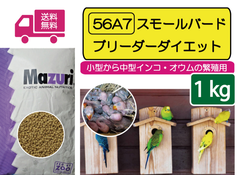 ※【期間限定SALE大特価】送料無料【Mazuriマズリ】繁殖用 小型インコ・オウム56A7 スモールバードブリーダー1kｇ