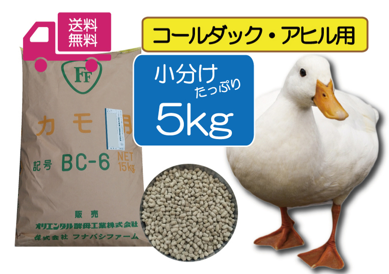 ※SALE大特価 ◎送料無料 たっぷり5ｋｇ【アヒル・コールダック用総合飼料・ペレット】BC-6 オリエンタル酵母　 最安値